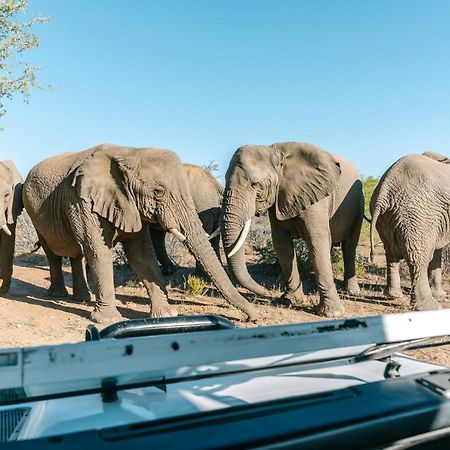 Omaruru Game Lodge Dış mekan fotoğraf