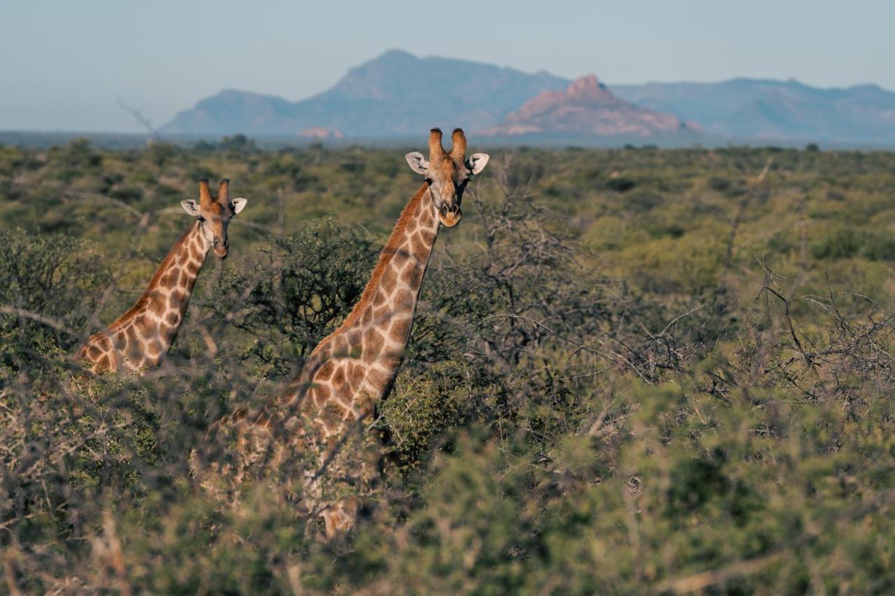 Omaruru Game Lodge Dış mekan fotoğraf