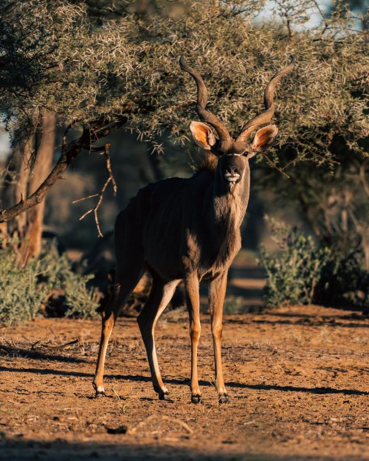 Omaruru Game Lodge Dış mekan fotoğraf