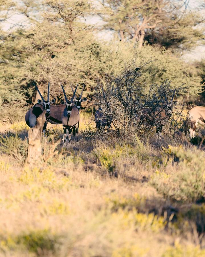 Omaruru Game Lodge Dış mekan fotoğraf