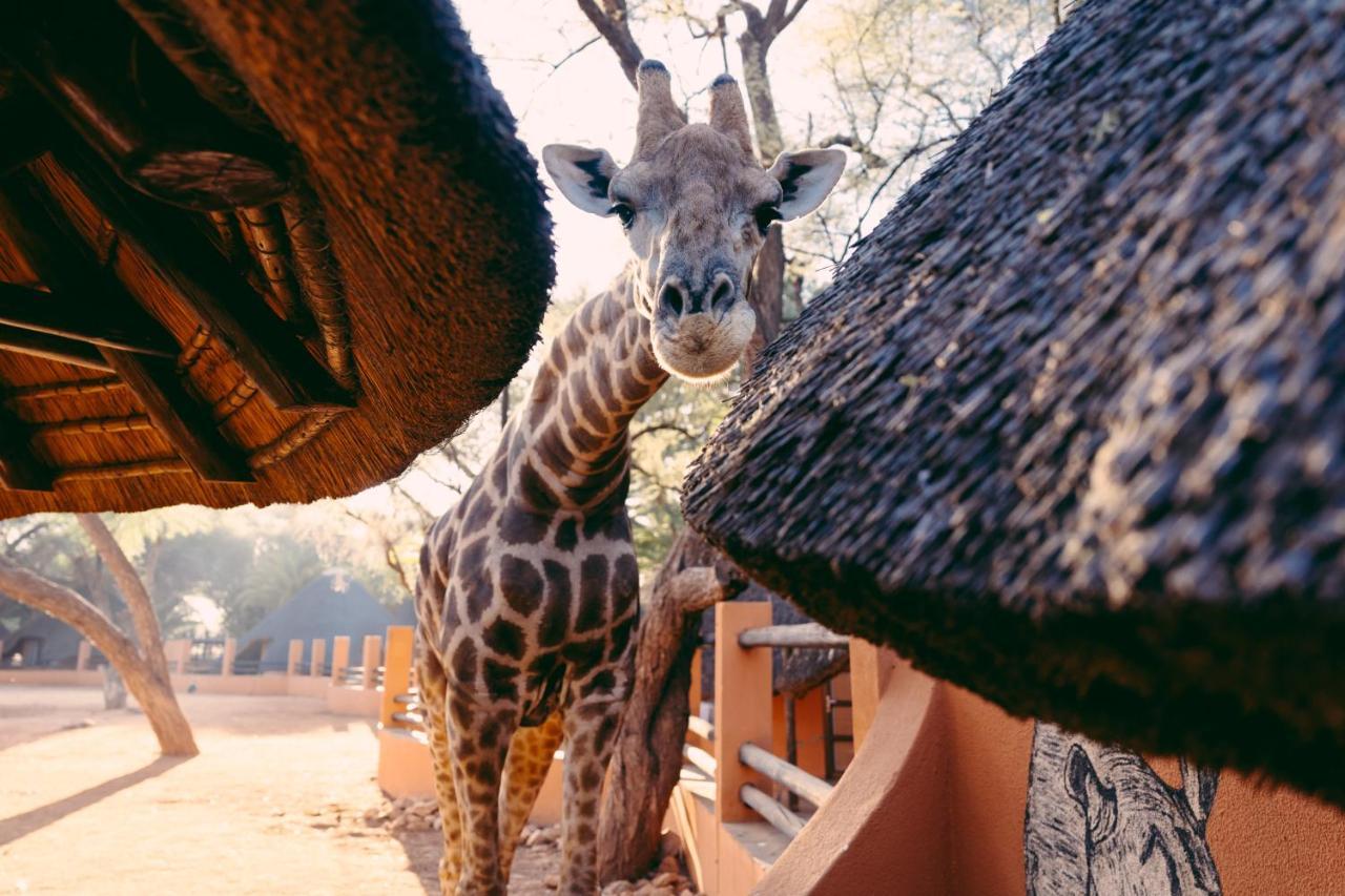 Omaruru Game Lodge Dış mekan fotoğraf