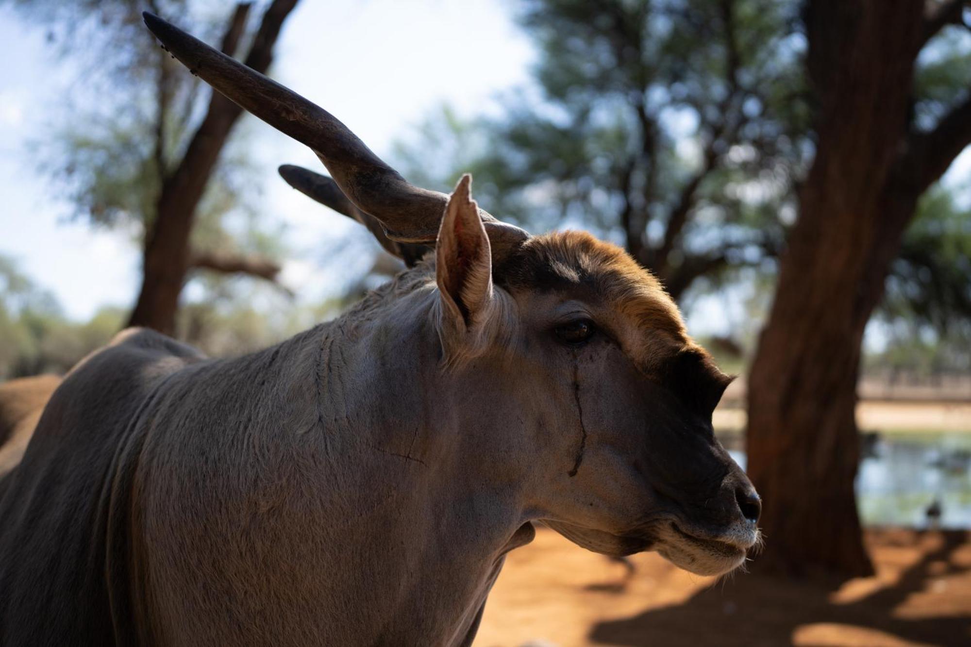 Omaruru Game Lodge Dış mekan fotoğraf