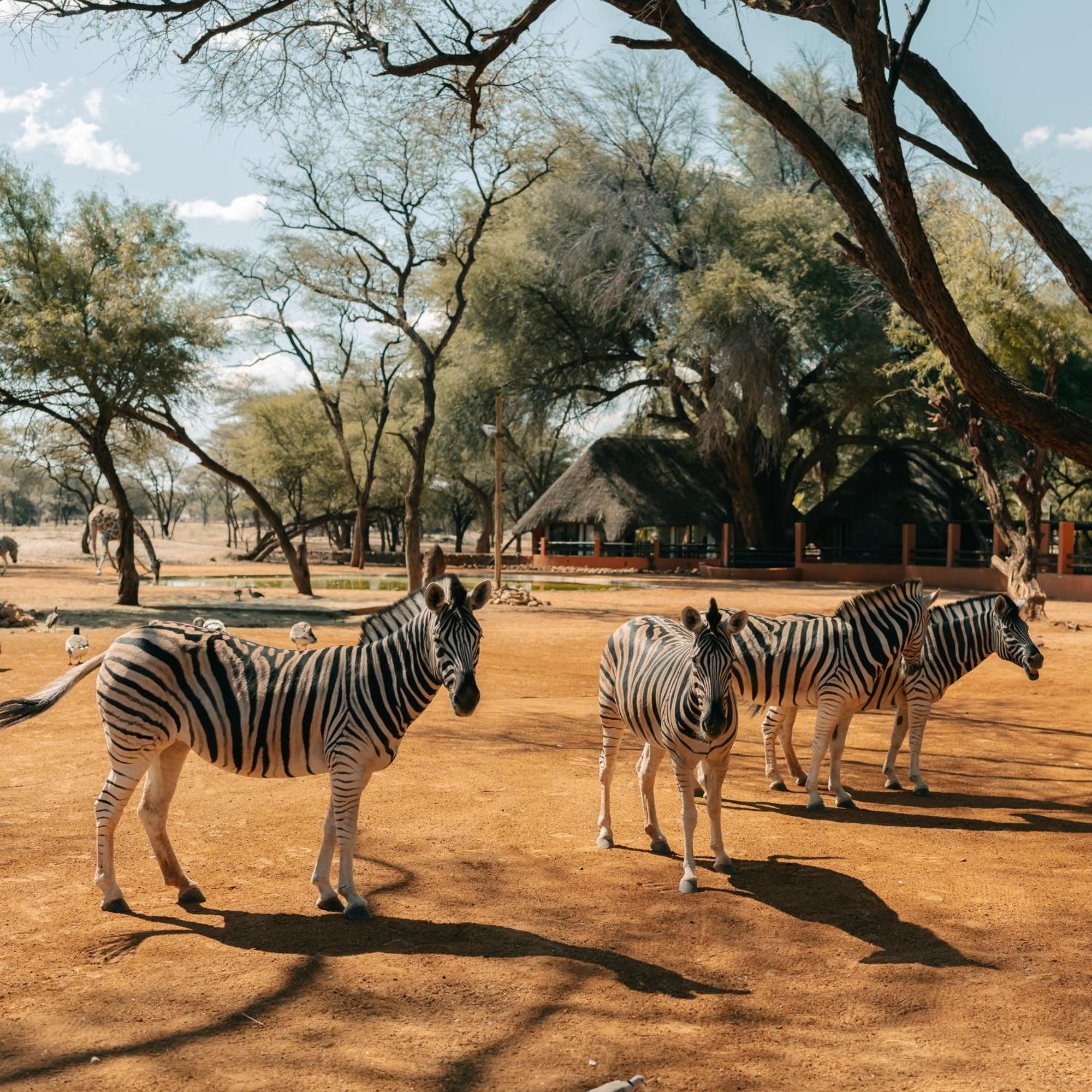 Omaruru Game Lodge Dış mekan fotoğraf