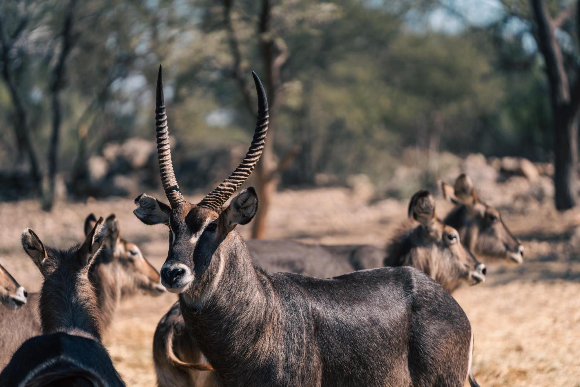 Omaruru Game Lodge Dış mekan fotoğraf