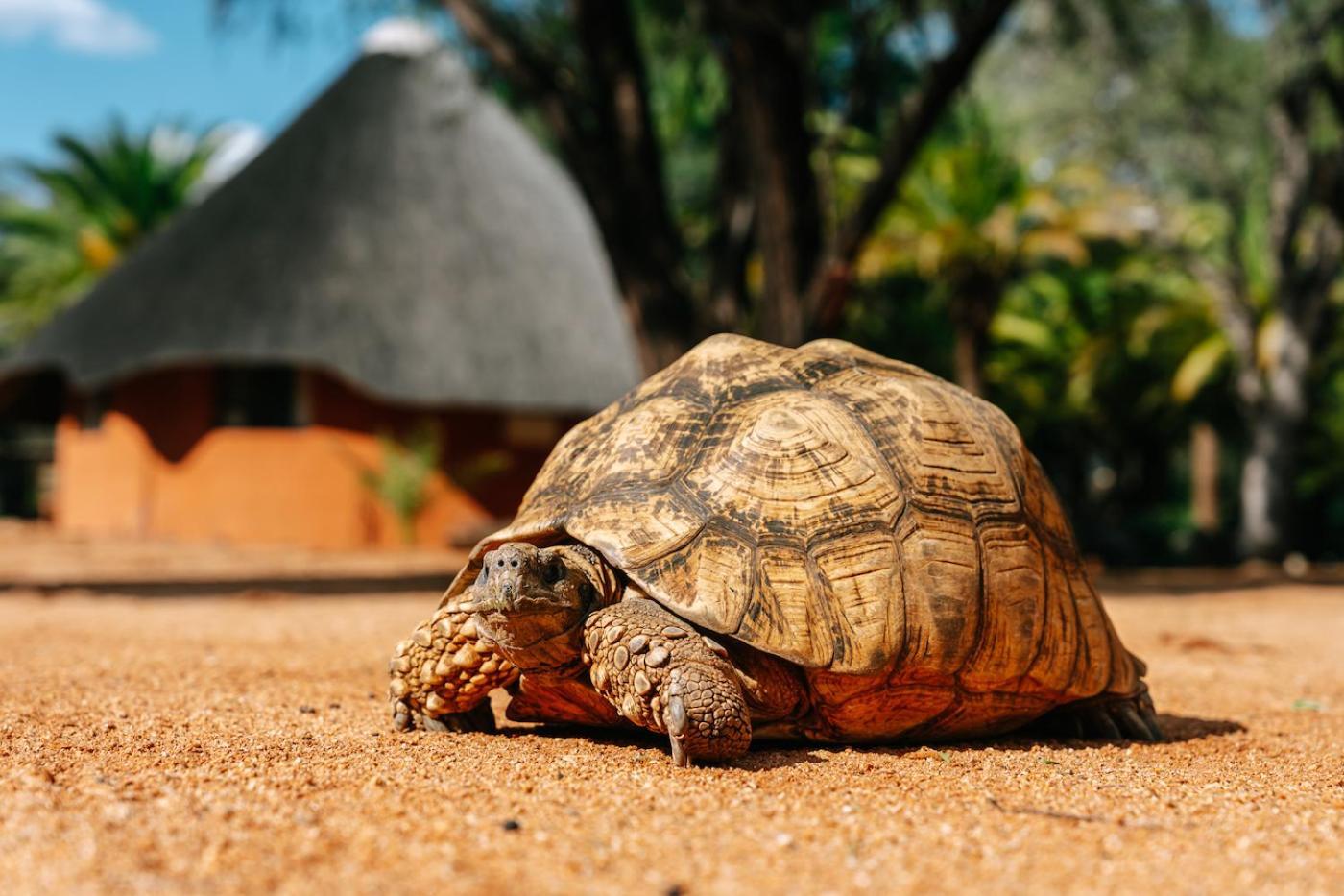 Omaruru Game Lodge Dış mekan fotoğraf